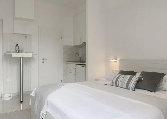 Paladin Apartament