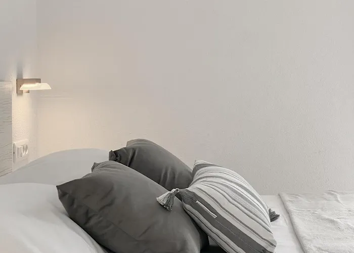 Paladin Apartament